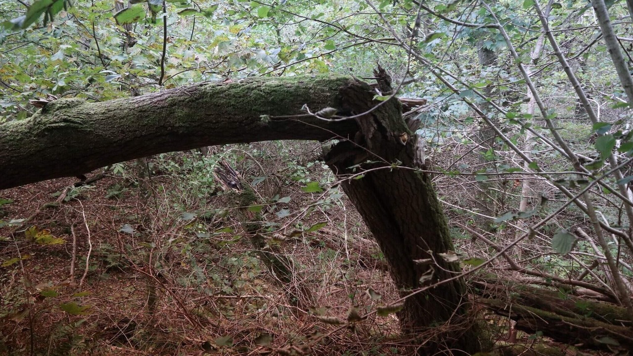 Photo of Others in Brovst
