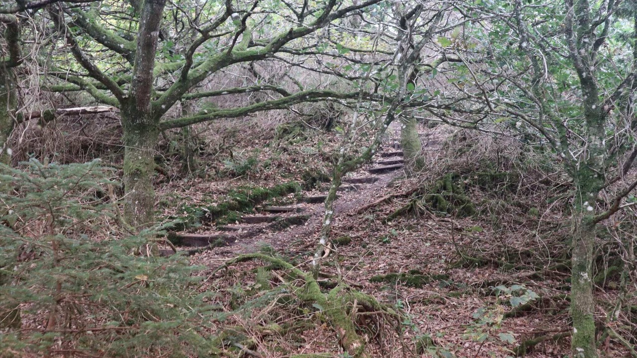 Photo of Others in Brovst