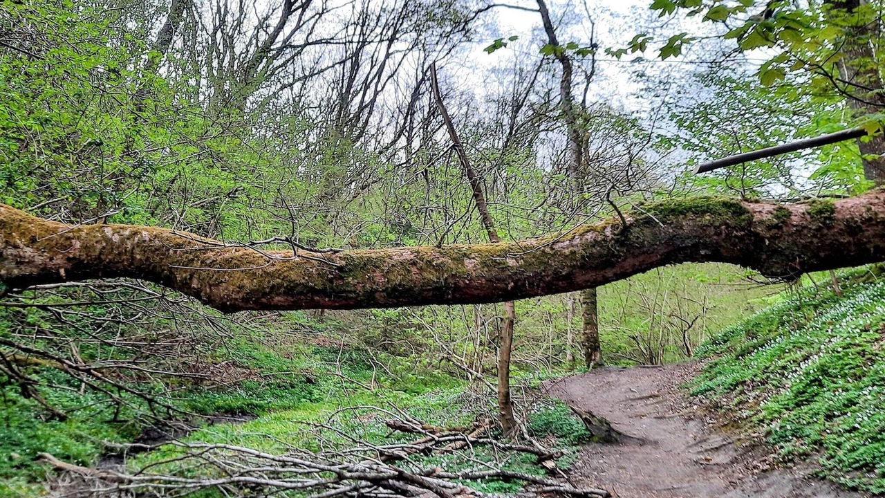 Photo of Others in Brovst