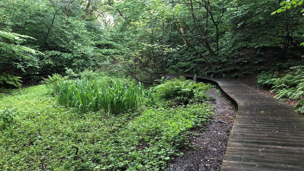 Photo of Outdoor in Brovst