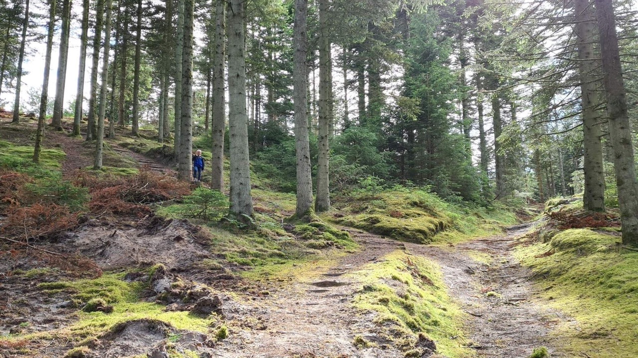Photo of Others in Brovst