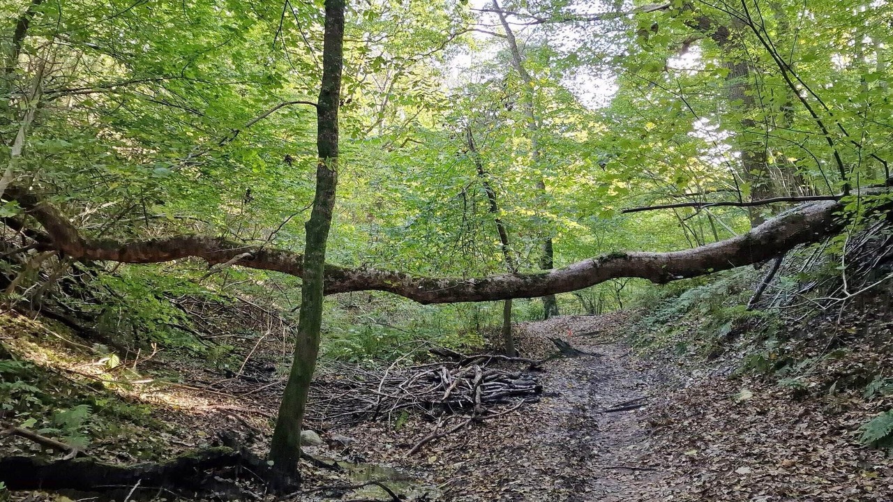 Photo of Others in Brovst