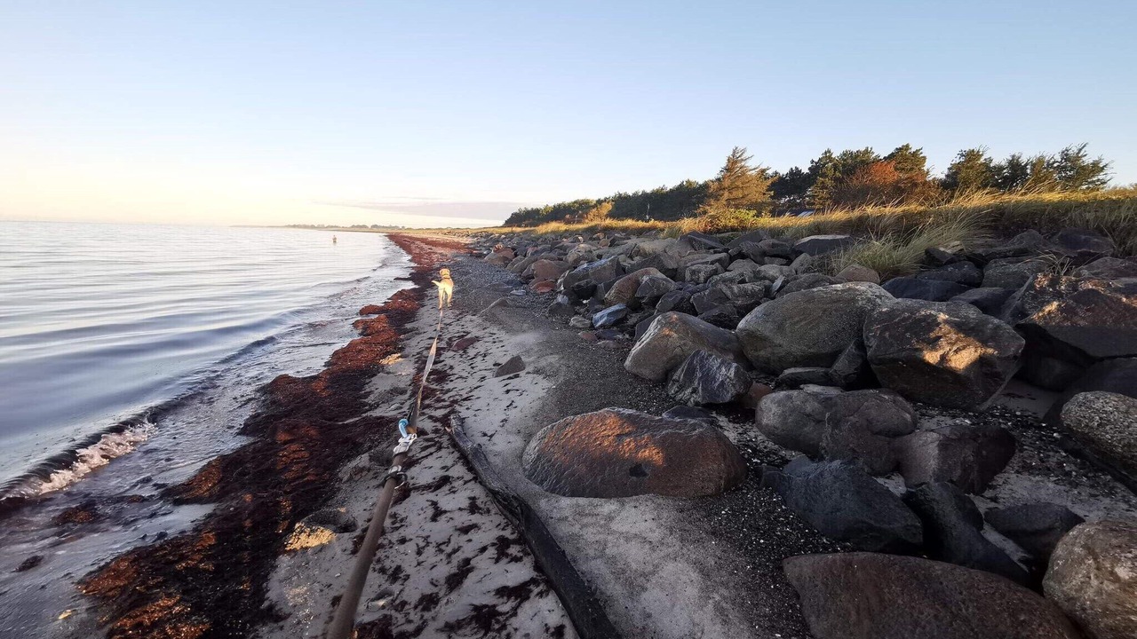 Photo of Others in Dannemare
