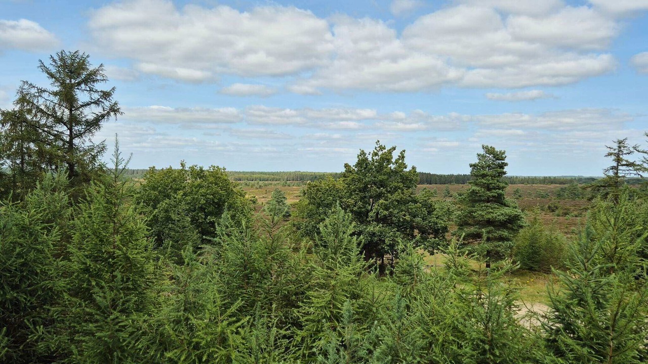 Photo of Others in Hovborg