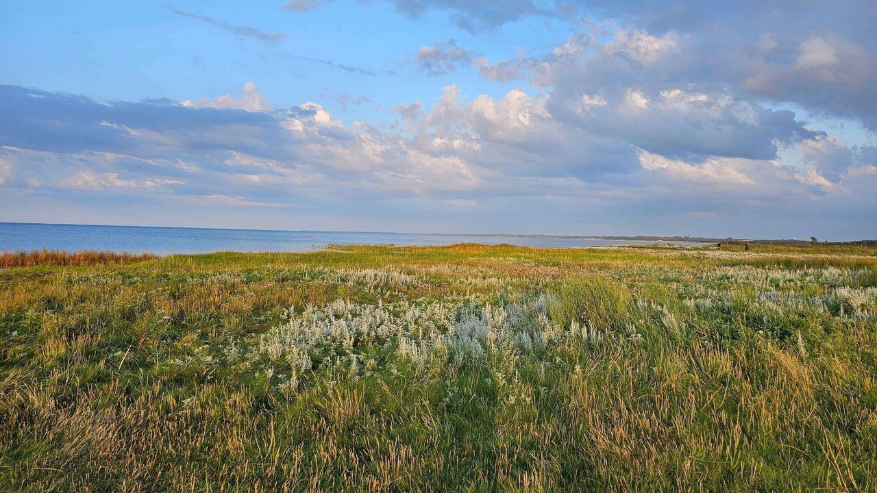 Photo of Others in Ørsted