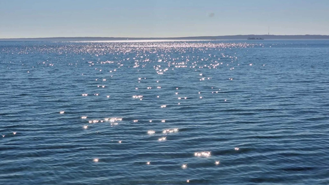 Photo of Others in Skaerbaek