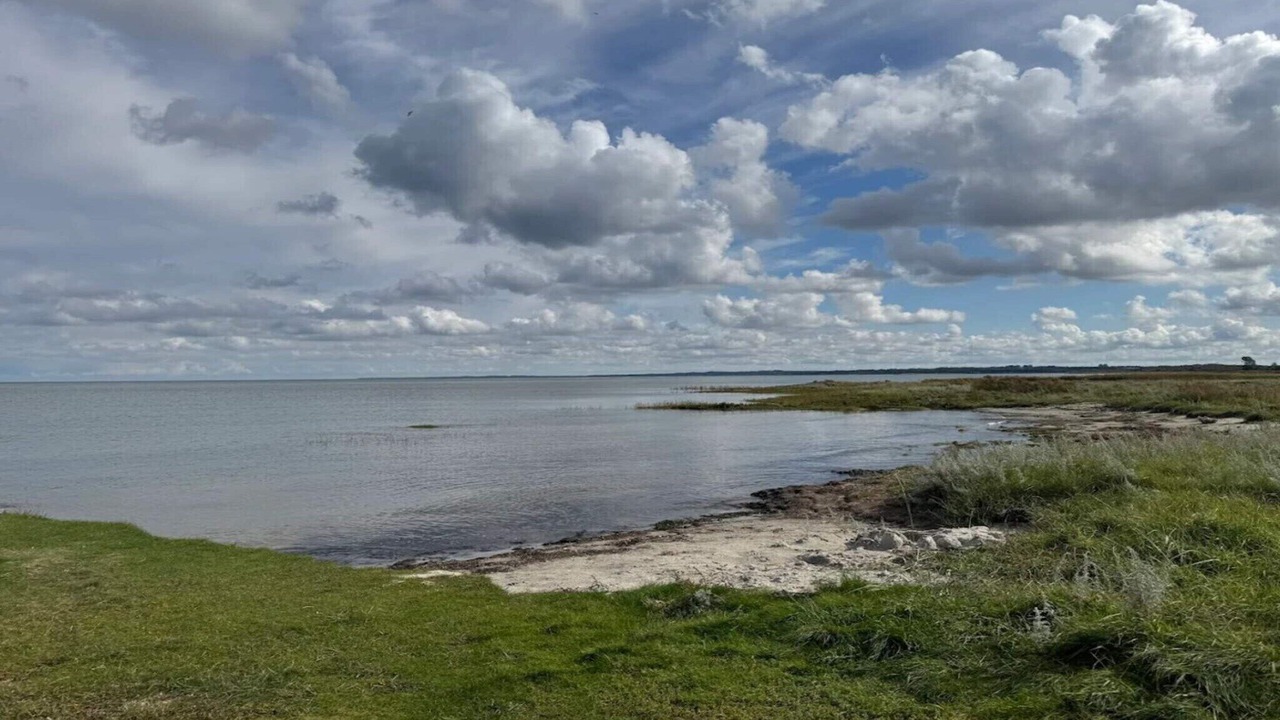 Photo of Others in Ørsted