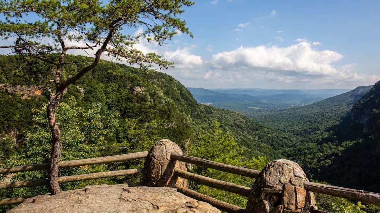 Photo of Outdoor in Mentone