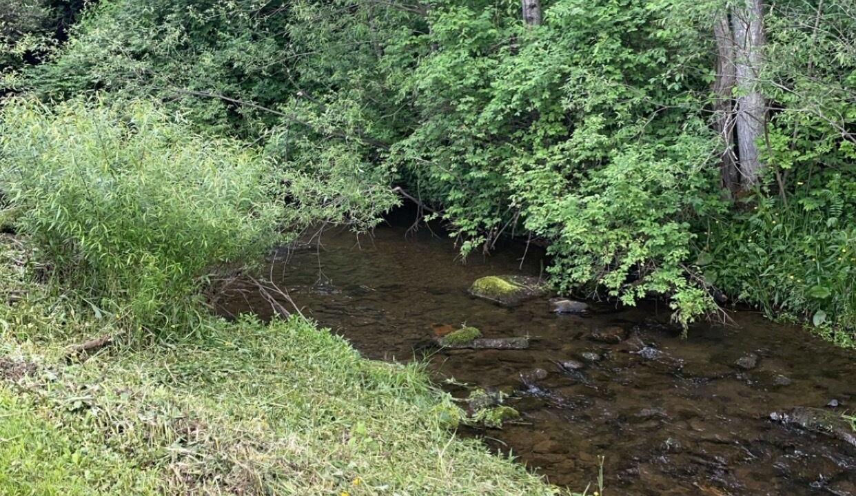 Photo of Outdoor in Coudersport