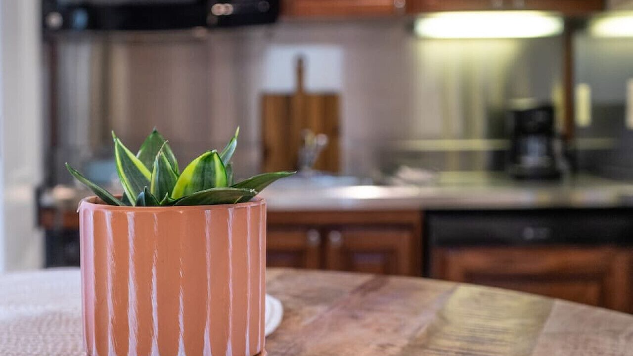 Photo of Kitchen in Lexington