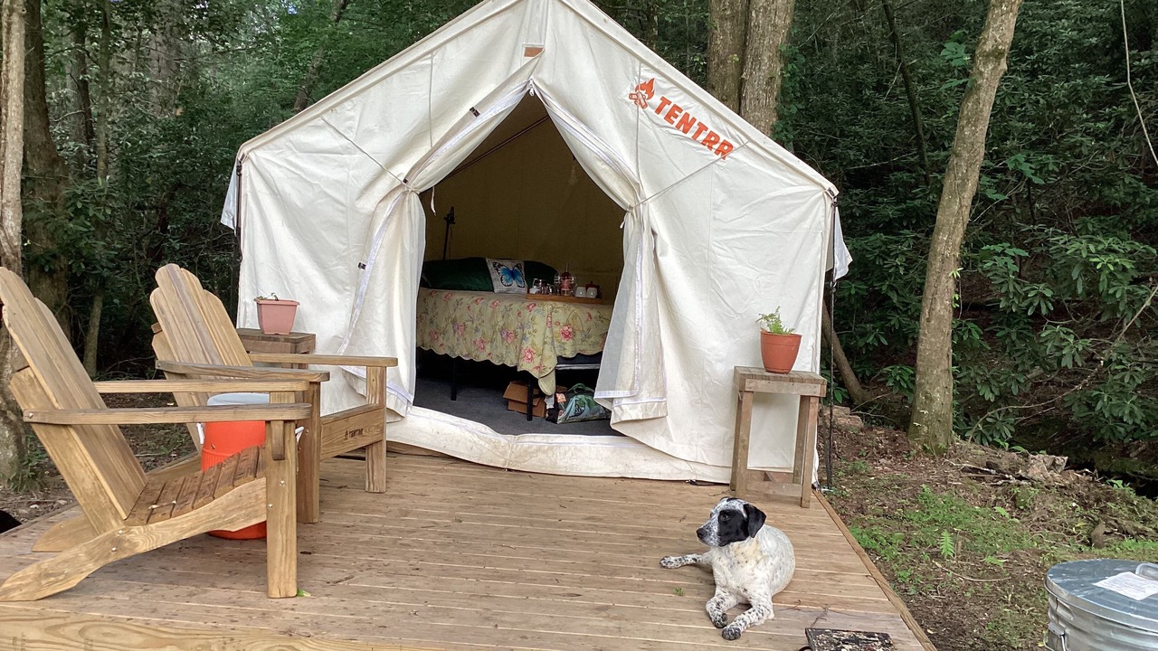 Photo of Outdoor in Turtletown