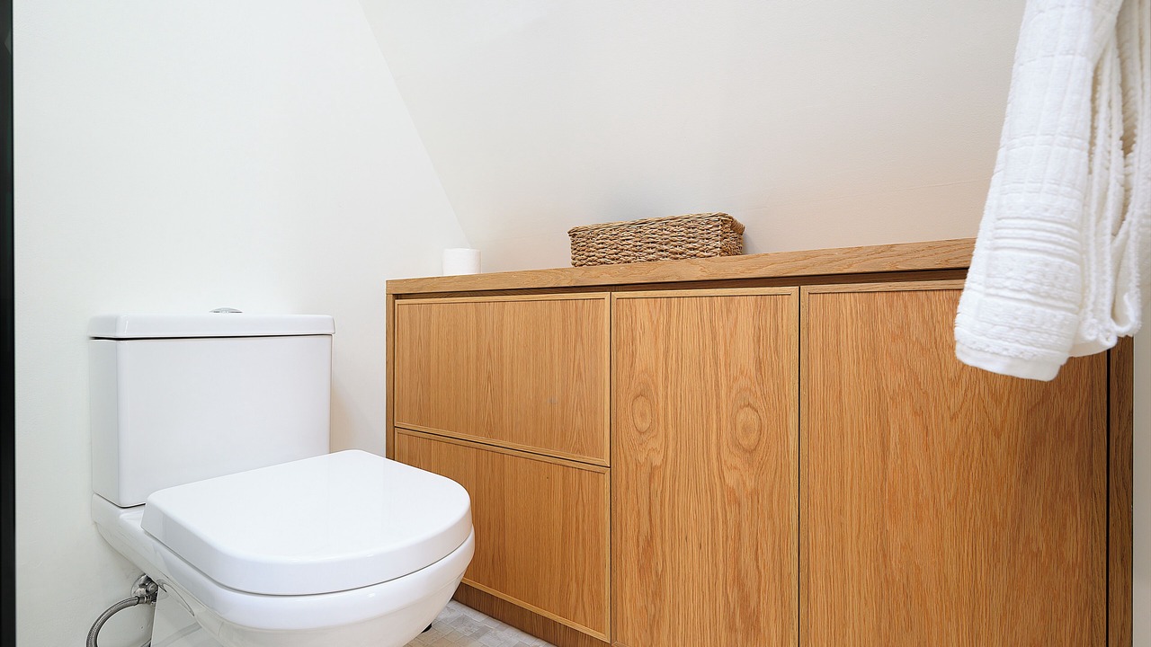 Photo of Bathroom in Tool