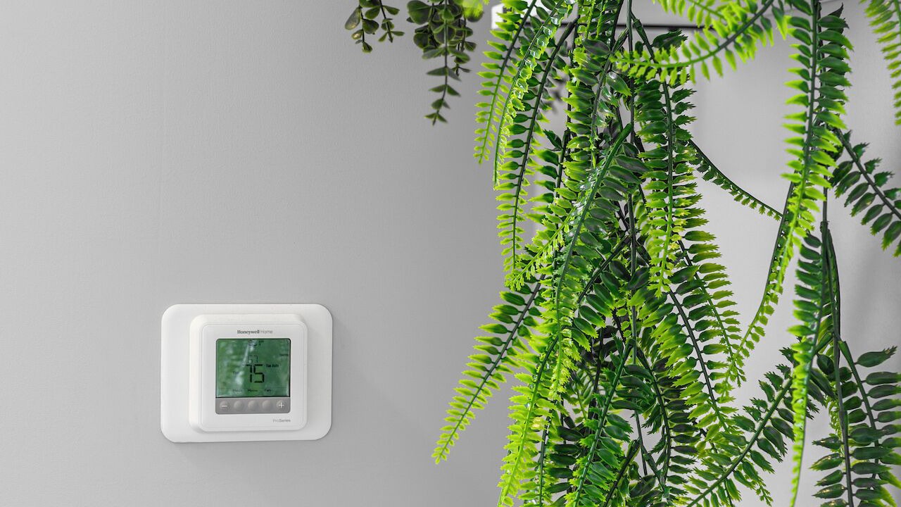 Photo of Others in Everett