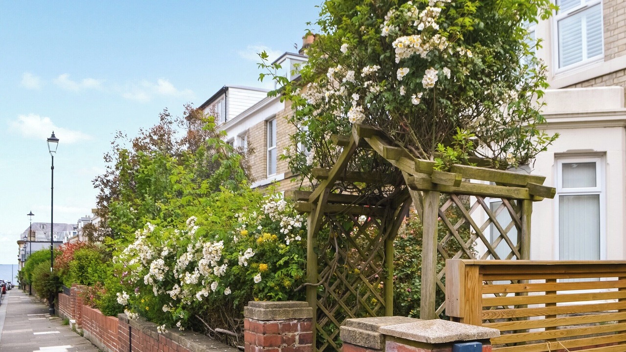 Photo of Others in Tynemouth