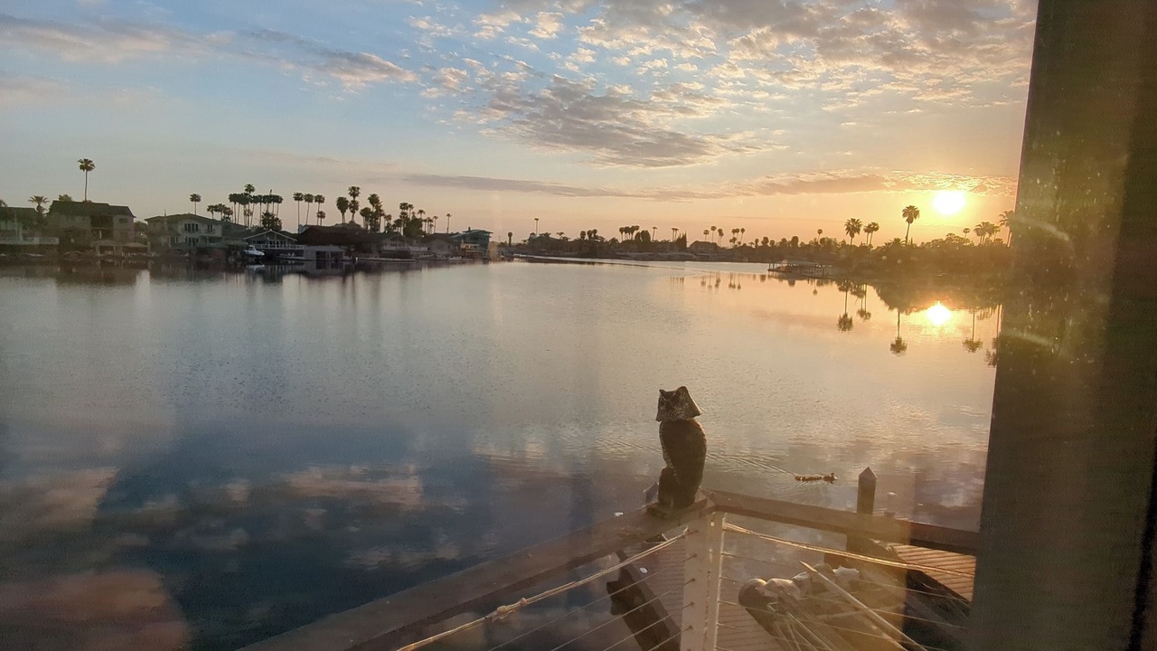 Photo of Others in Discovery Bay