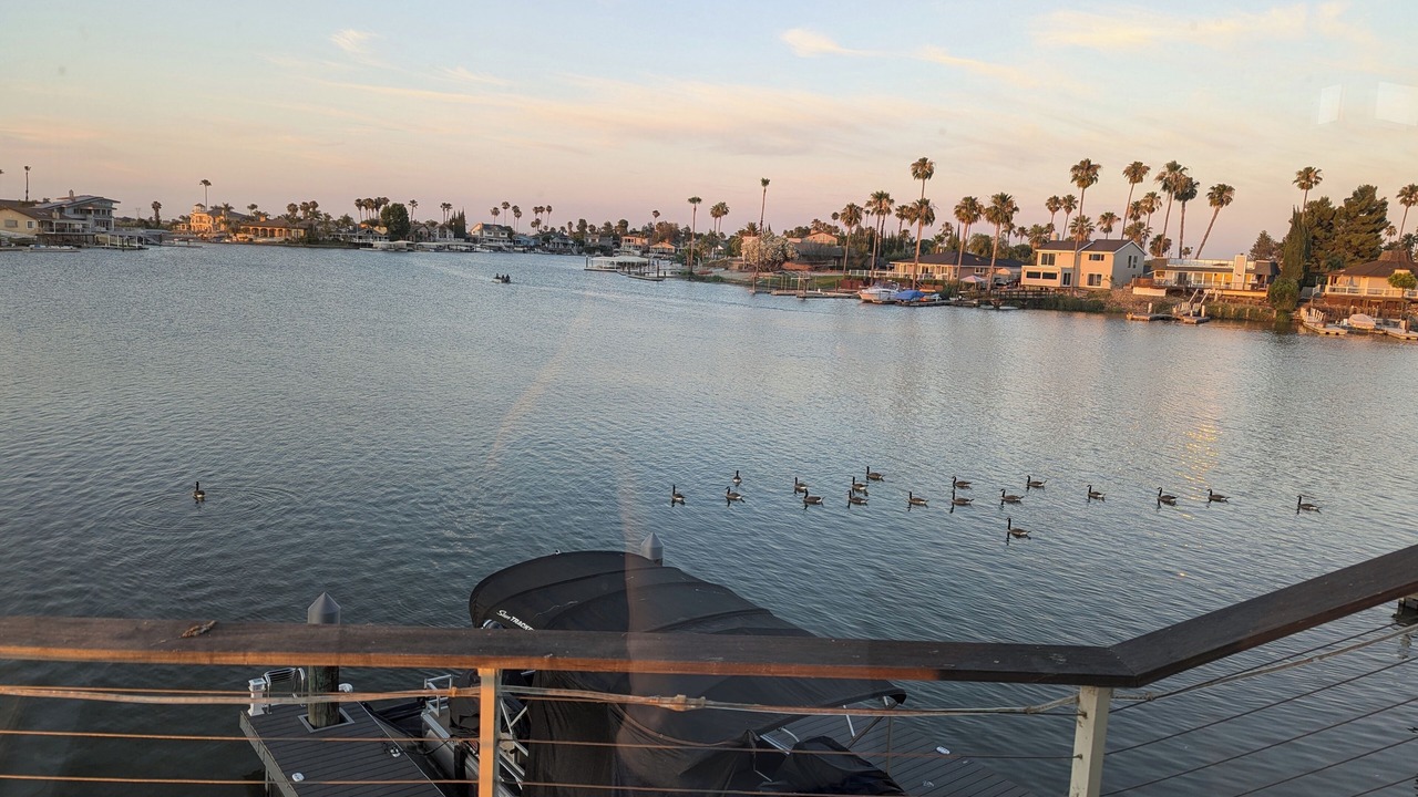 Photo of Others in Discovery Bay