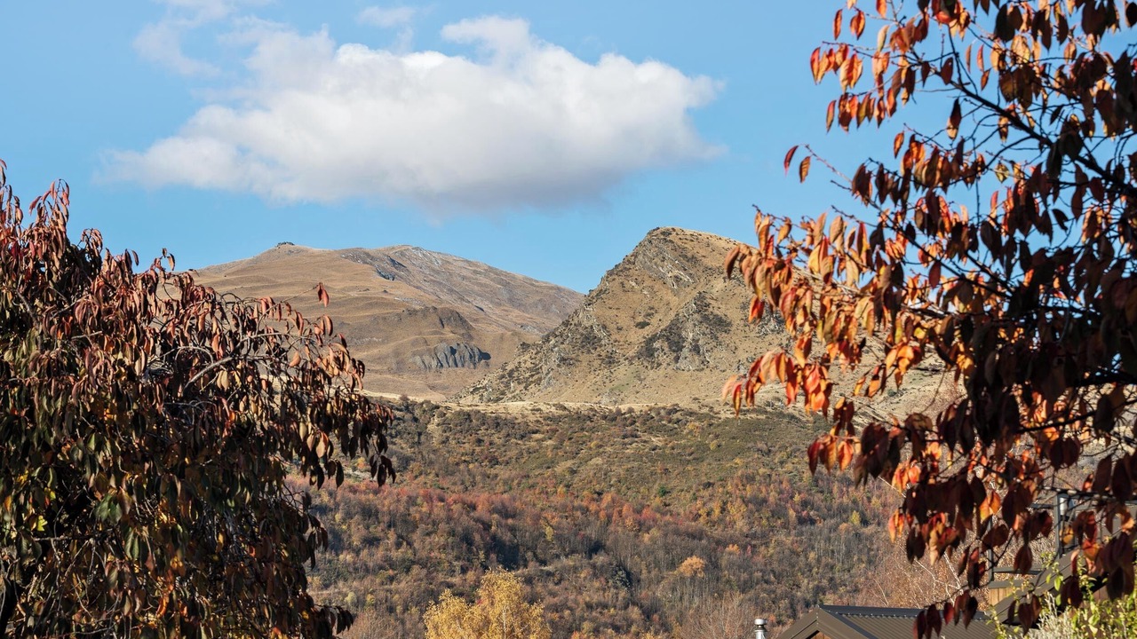 Photo of Others in Arrowtown