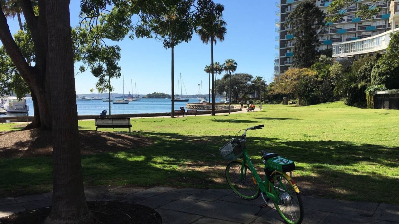 Photo of Others in Elizabeth Bay