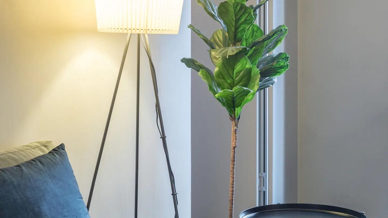 Photo of Others in Elizabeth Bay