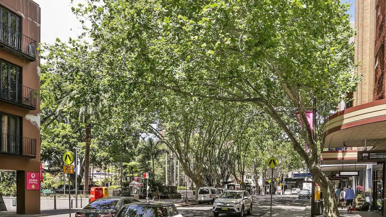 Photo of Others in Elizabeth Bay