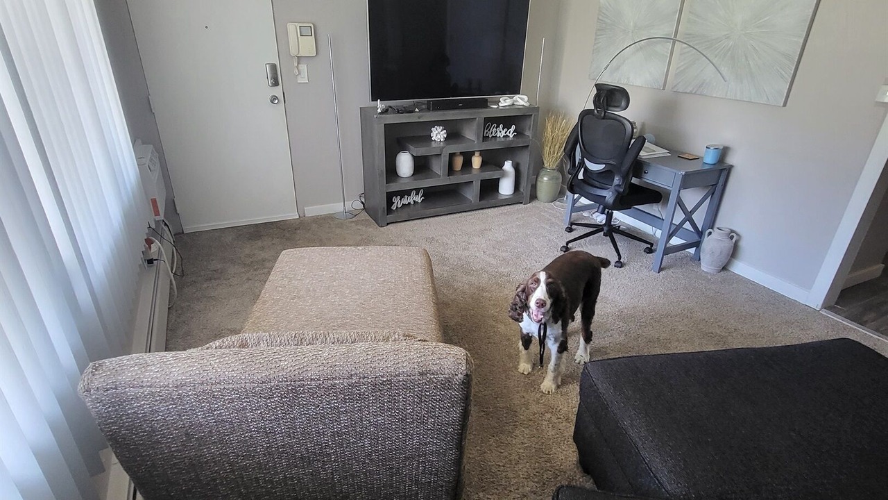 Photo of Livingroom in Medical Mile