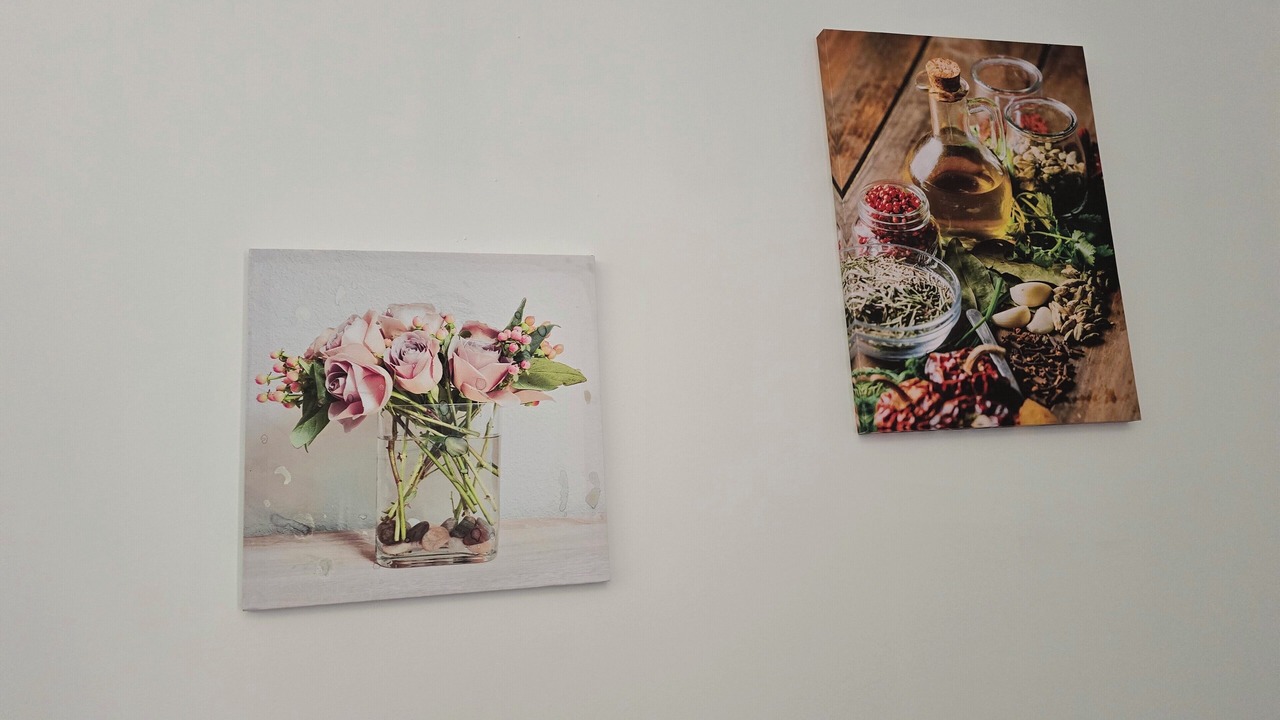 Photo of Others in Bras