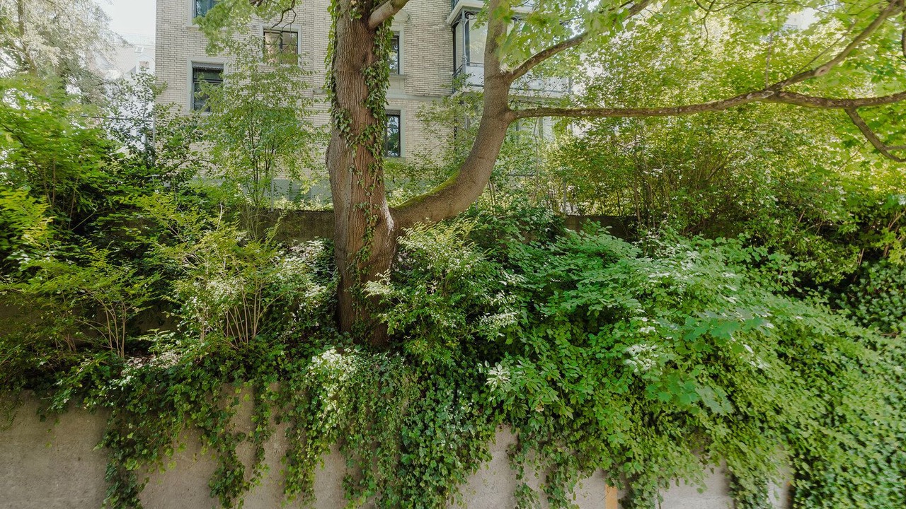 Photo of Outdoor in District 6