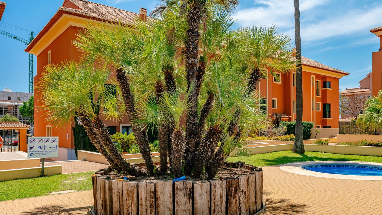 Photo of Outdoor in Aduanas
