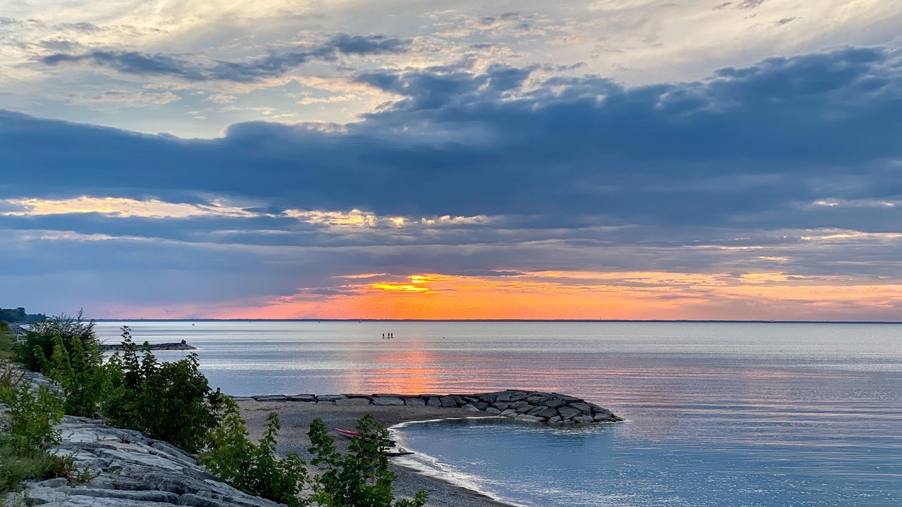 Photo of Others in Sarnia