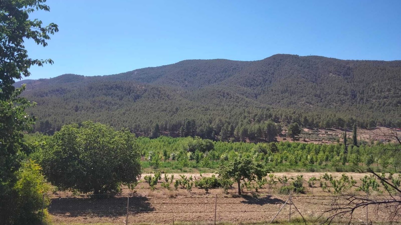 Photo of Outdoor in Yeste