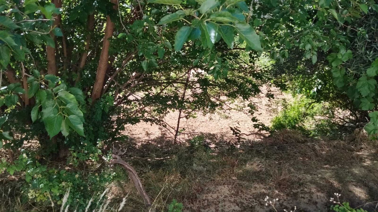 Photo of Outdoor in Yeste