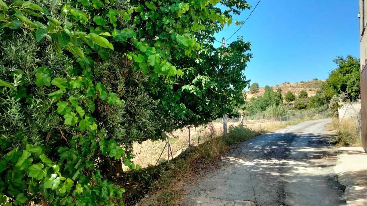 Photo of Outdoor in Yeste