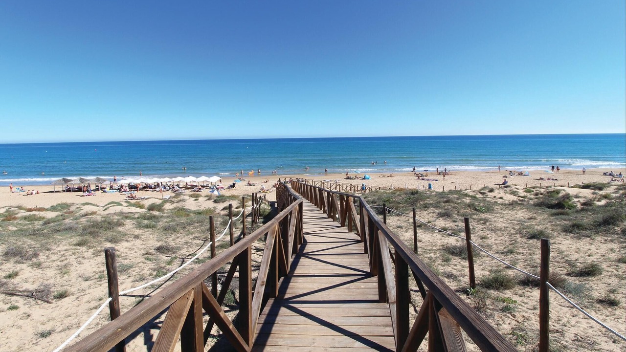 Photo of Others in Guardamar del Segura