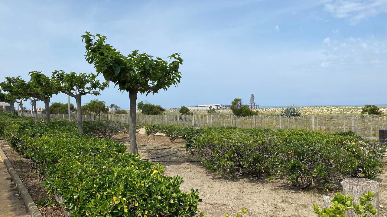 Photo of Outdoor in Leucate