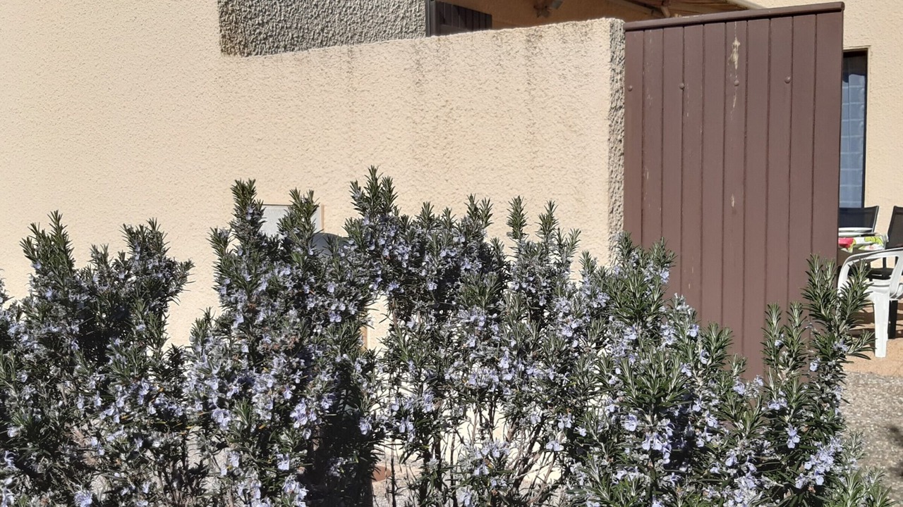 Photo of Outdoor in Port Leucate