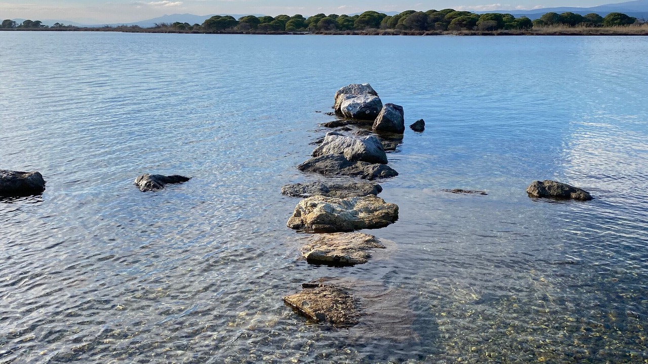Photo of Others in Leucate