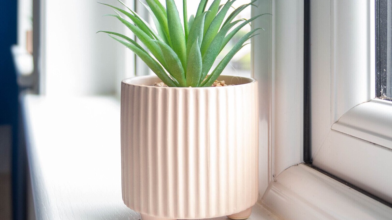 Photo of Others in Bargeddie