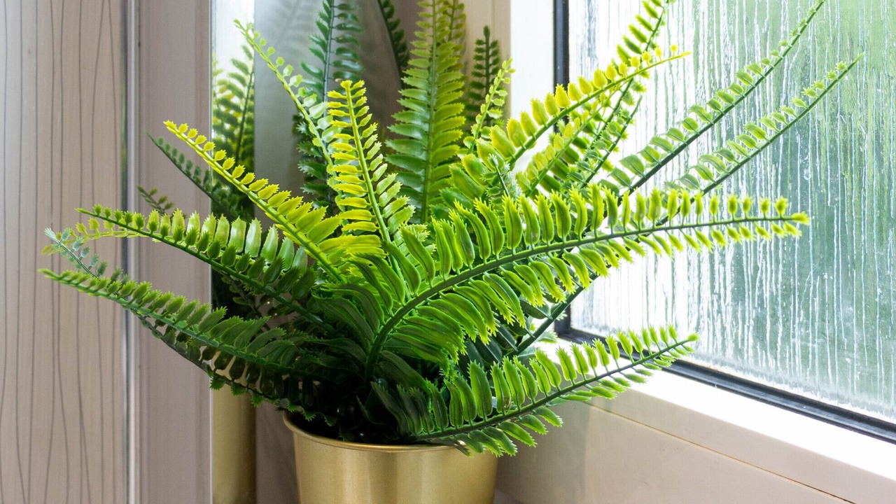 Photo of Bathroom in Bargeddie