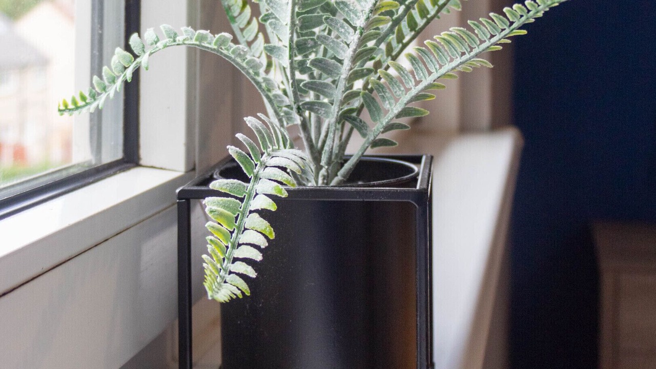 Photo of Others in Bargeddie