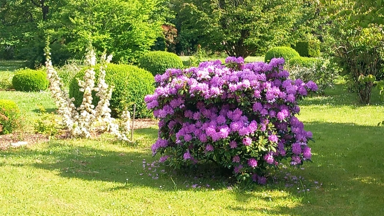 Photo of Outdoor in Genis