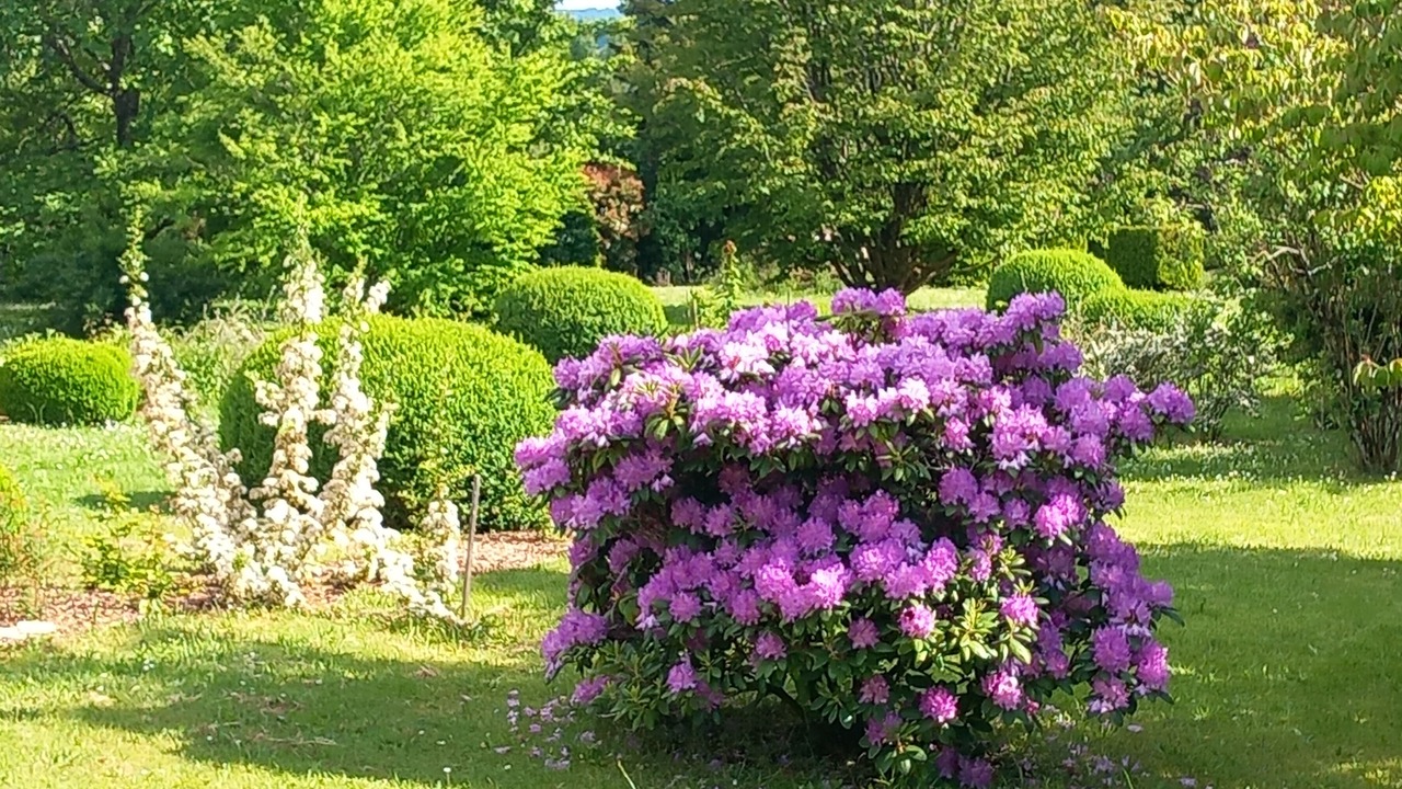 Photo of Outdoor in Genis