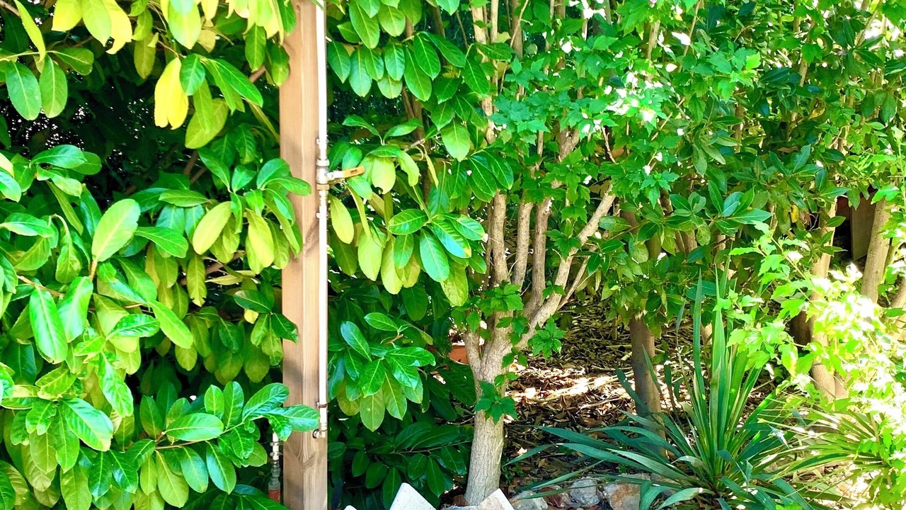Photo of Outdoor in Le Cres
