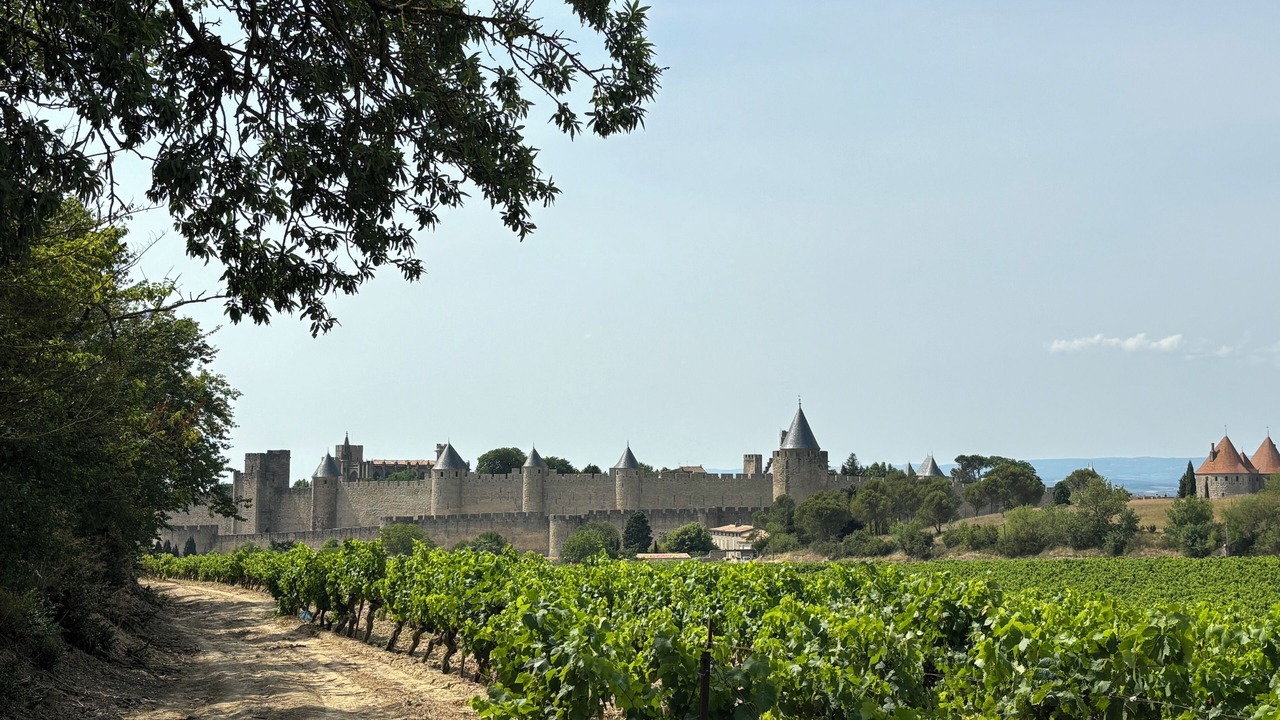 Photo of Others in Carcassonne