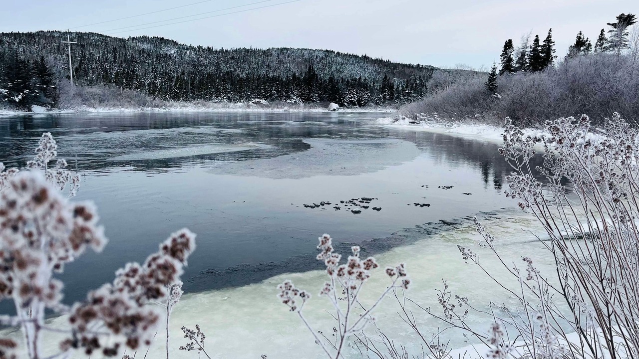 Photo of Others in Indian Bay