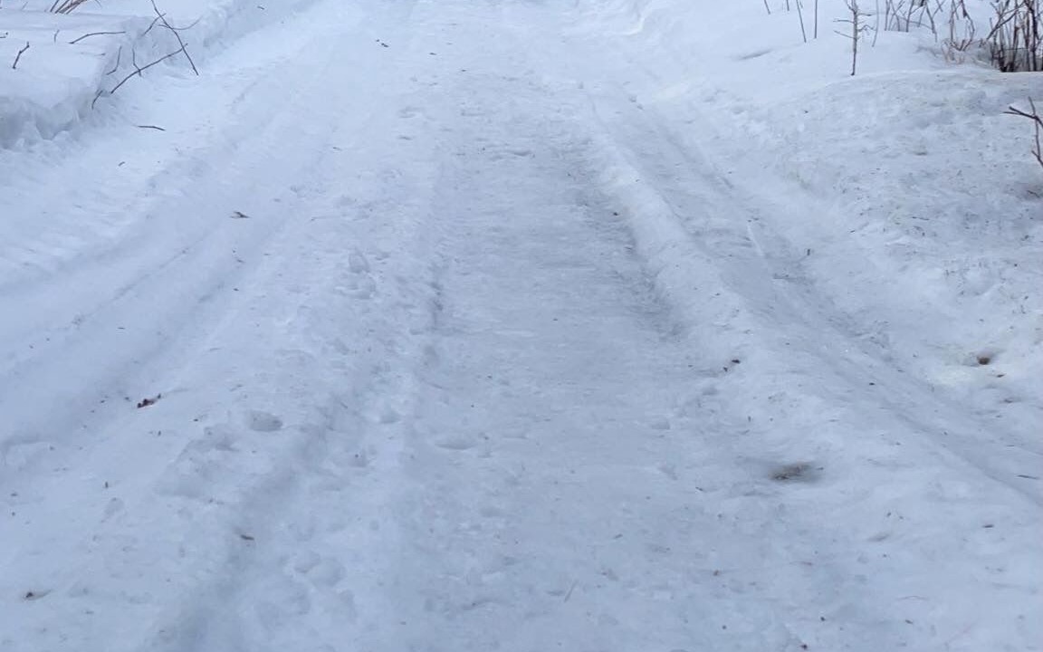 Photo of Others in Indian Bay