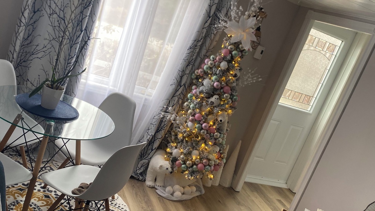 Photo of Livingroom in Indian Bay