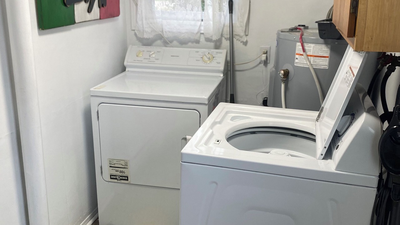 Photo of Others in Indian Bay