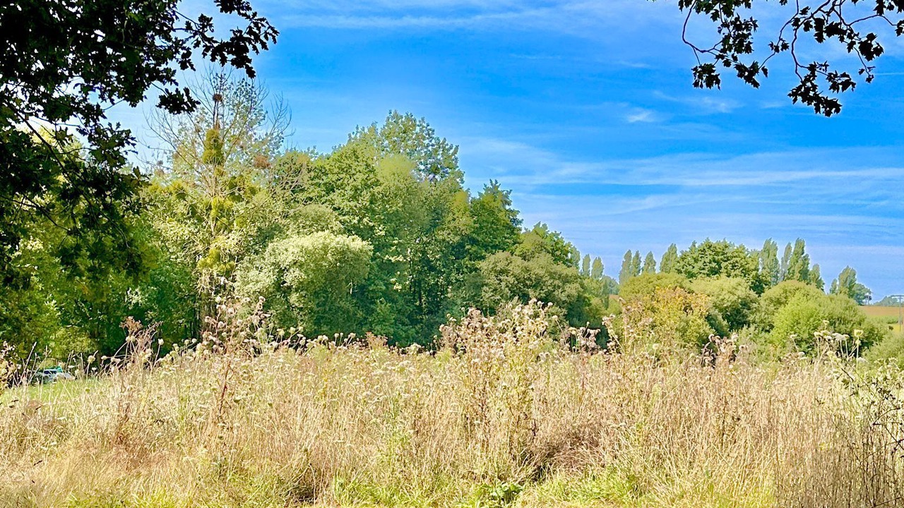 Photo of Outdoor in Peillac