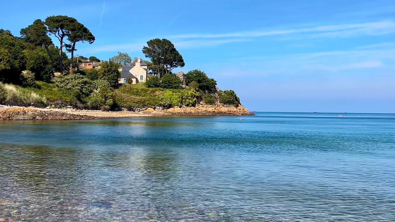 Photo of Others in Loguivy