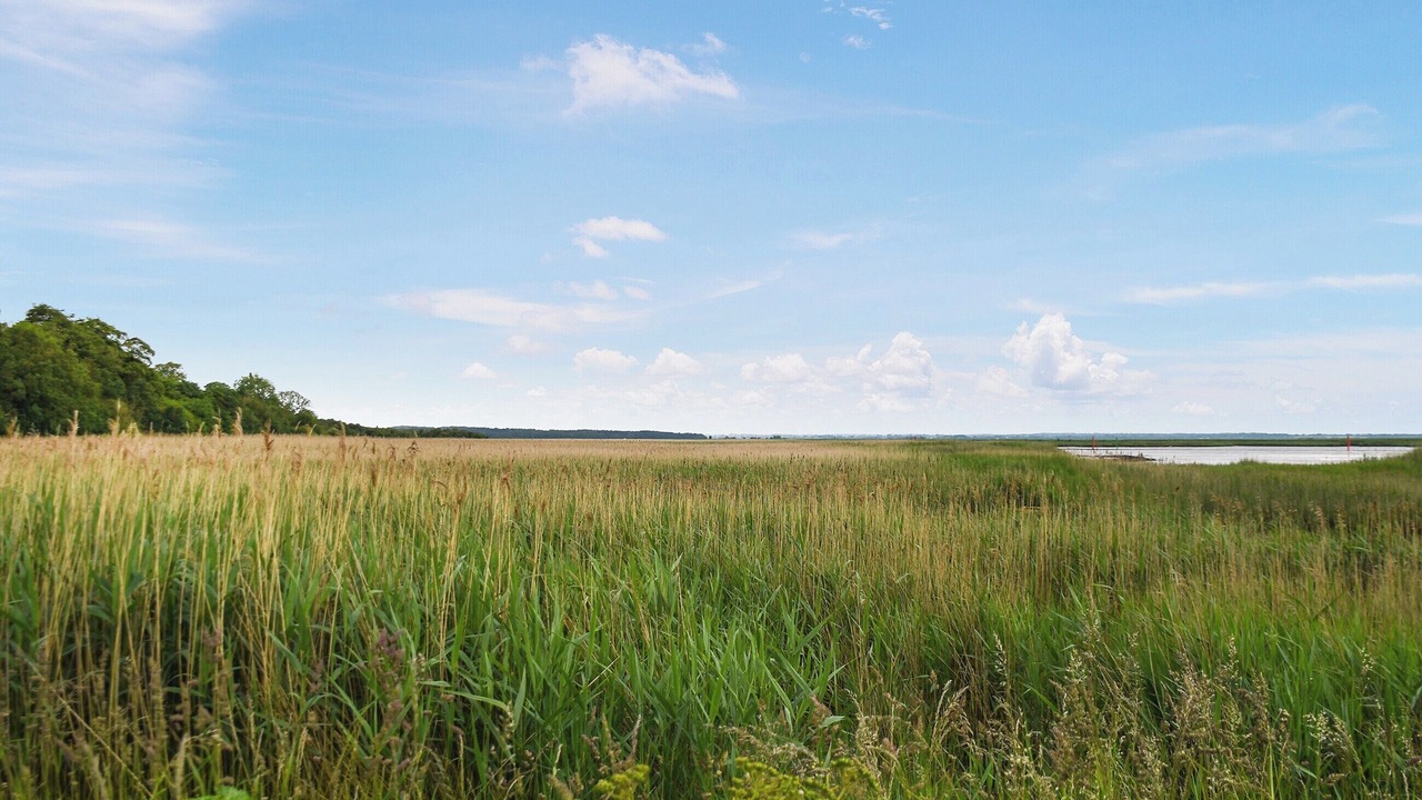 Photo of Others in Bradwell